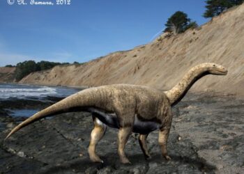 Scientists have digitally rebuilt the brain of a dinosaur, revealing “surprising” insights into its diet and behavior.