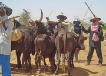 We Will Not Send Food Items To The Southwest Until Fulanis Are Safe – Miyetti Allah