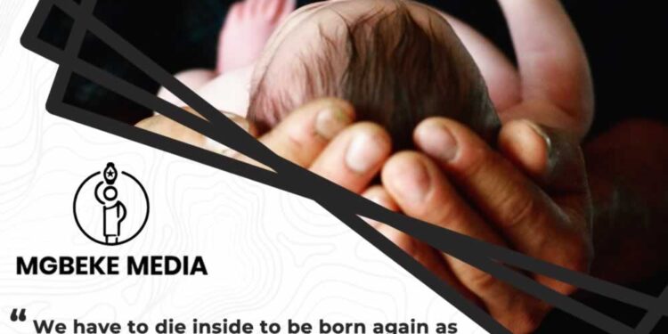 Daily Soultonic by Dr Sandra C. Duru | We have to die inside to be born again as healers and teachers