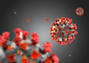 First Case Of Brazil COVID-19 Variant Found In Massachusetts