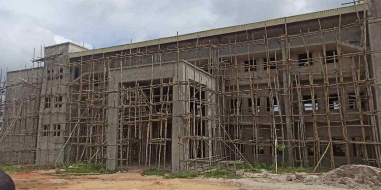 INVESTIGATION: How ex-lawmaker, Ned Nwoko, grabbed community’s land, dislodged poor farmers