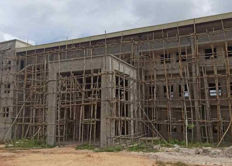 INVESTIGATION: How ex-lawmaker, Ned Nwoko, grabbed community’s land, dislodged poor farmers