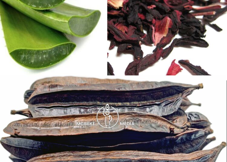 Lifesaver Drink | Live Healthy, Feel Great!