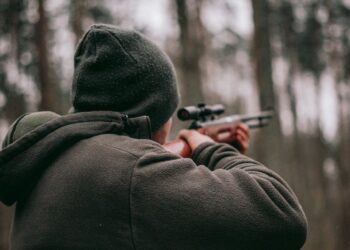 Illegal Massachusetts Deer Poachers Learn Bitter Lesson As ‘Bushmeat Catches The Hunter’