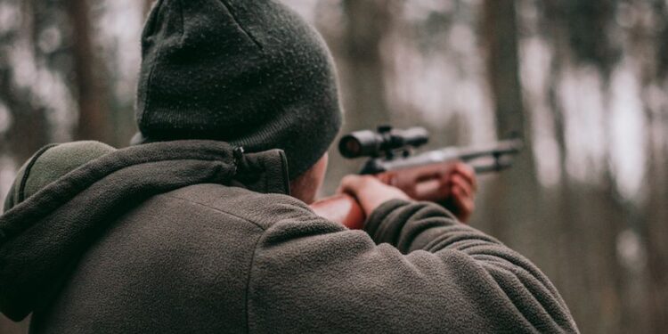 Illegal Massachusetts Deer Poachers Learn Bitter Lesson As ‘Bushmeat Catches The Hunter’