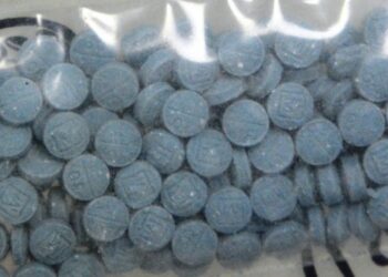 Miguel Angel Fajardo, A Massachusetts Resident Was Arrested For Being In Possession Of 1.5 Kilos Of Fentanyl Pills And Powder