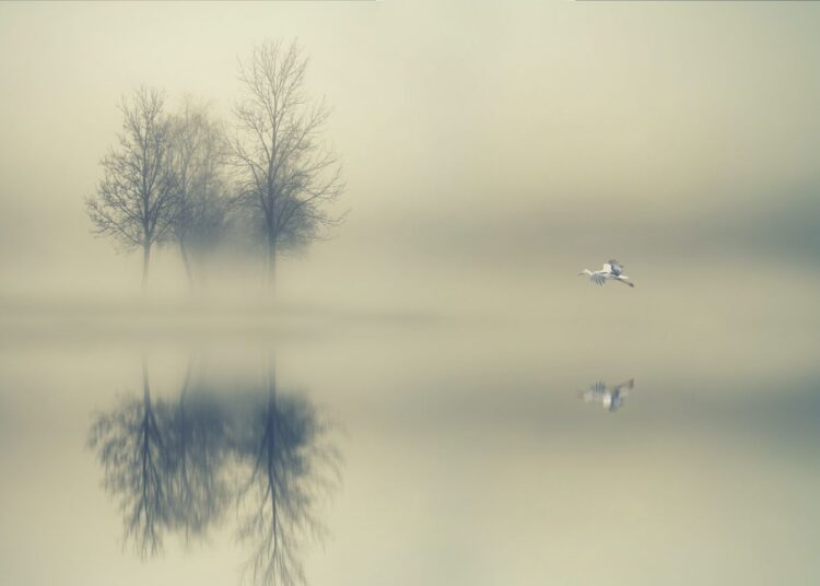 Your Path Will Get Clear – Keep Going Forward!