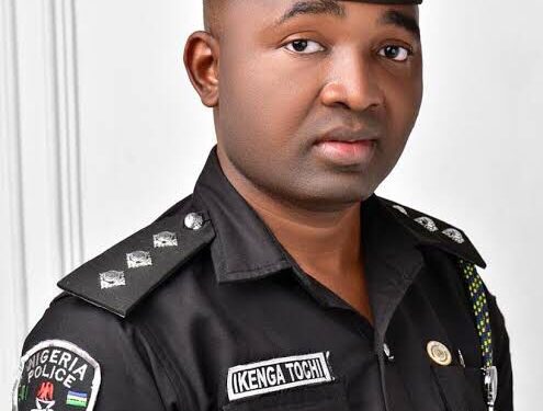 Important Question Arises As Anambra State Police Command Recovers 300 Cattle, Kidnapped Herdsmen From Bandits