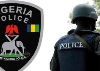 Pressing Question, Sad Realities As Unknown Gunmen Sack Police Station, Kill 4 Officers In Imo State, Nigeria