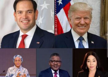 Studying Leadership, Loyalty, and the Power of Incubation: