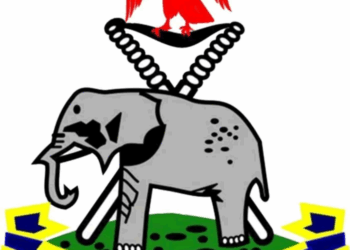 Exclusive: Police Clarify Role Of Prof. Sandra Duru In Withdrawn Complaint